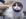 happy-cat.jpg happy-cat.jpg